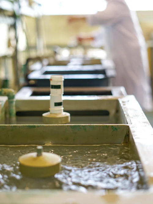 Proceso de galvanizado mediante una técnica de electrólisis